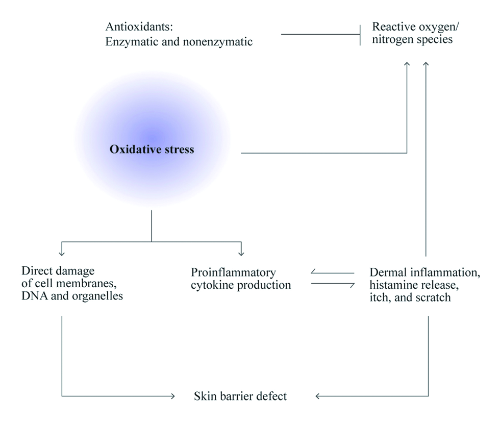 Management of oxidative stress.[3]