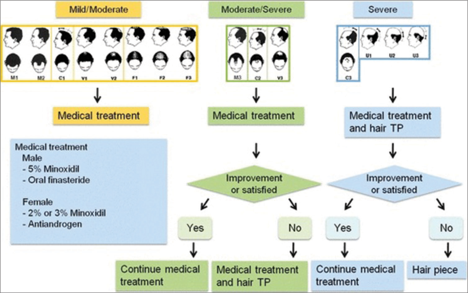 Algorithmic guideline for the management of androgenetic alopecia (AGA). Mild/moderate androgenetic = BASP type M1-2, C1, F1-3 or V1-2; moderate/severe AGA = BASP type M3, C2-3, U1-3 or V3; severe AGA = BASP type C3 or U1-3.