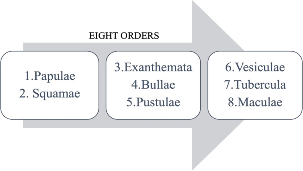 Willan’s classification of morphology.