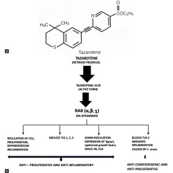 Article figure